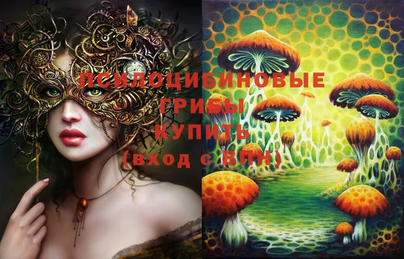 Псилоцибиновые грибы Psilocybine cubensis  Рыбное 